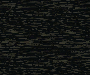 Schwarz - 154417 - RAL 9005