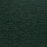 Tannengrun 612505 - RAL 6009